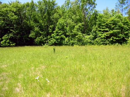 Starlite Drive-In Theatre - Now And Empty Lot - Photo From Water Winter Wonderland (newer photo)